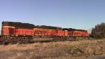 BNSF coal train